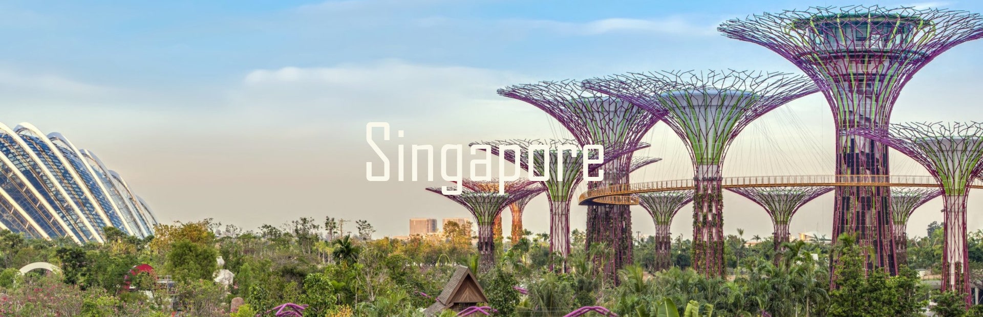 Singapore tour
