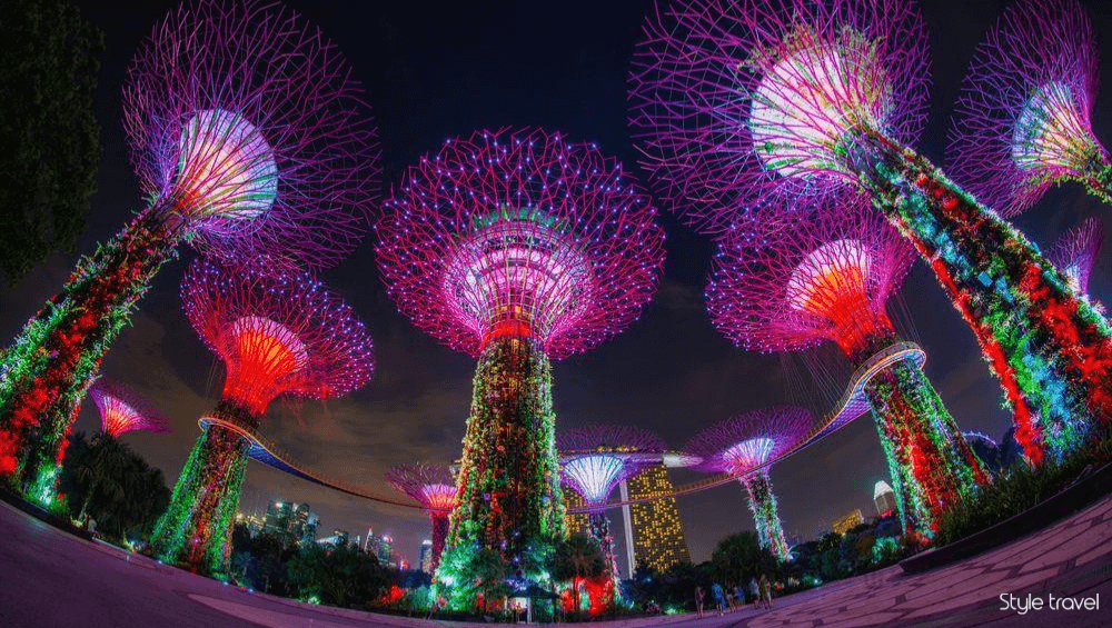 Catch the Garden Rhapsody Light Show at Supertree Grove