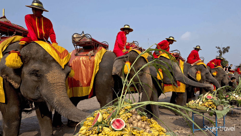 Surin Elephant Round