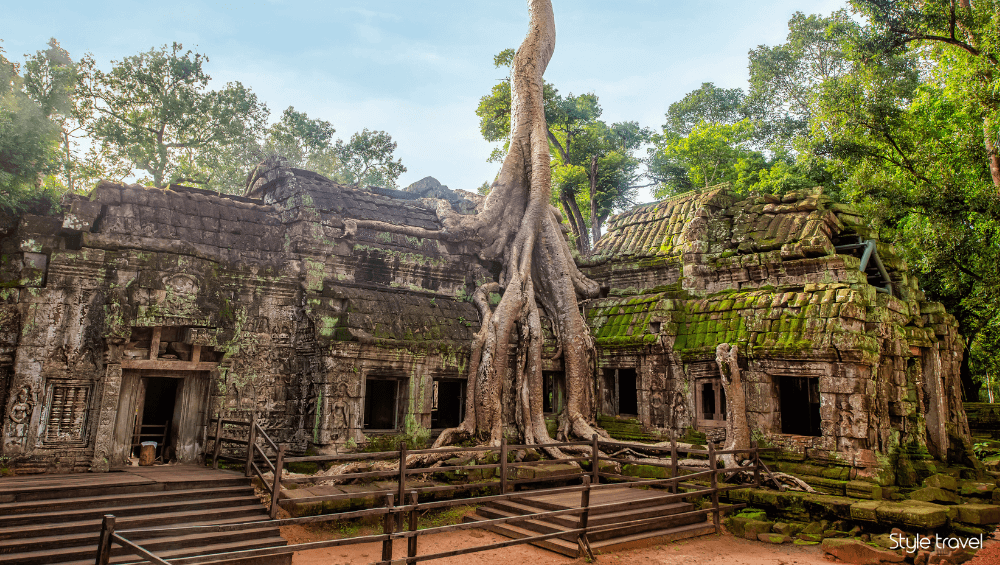 Ta Prohm Temple Cambodia